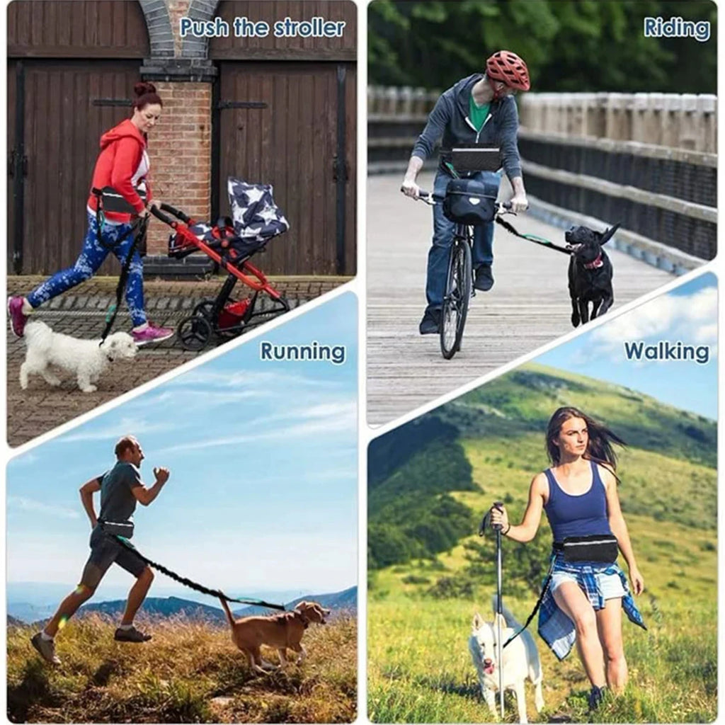 Pet Leash Pet Supplies Hands-Free Dog Leash for Running and Walking Reflective Leash with Waist Bag Retractable Elastic